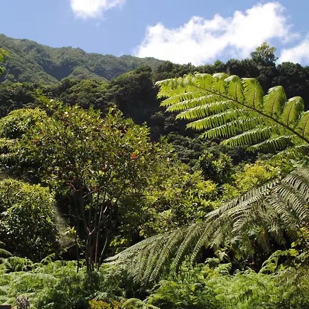 Loft - Casa Do Mar Apartment Ponta Delgada (Madeira)