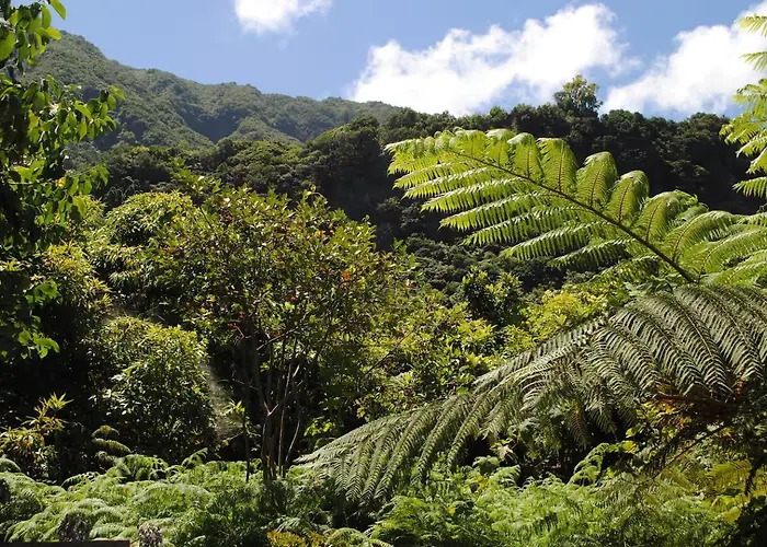 Loft - Casa Do Mar דירה פונטה דלגדה