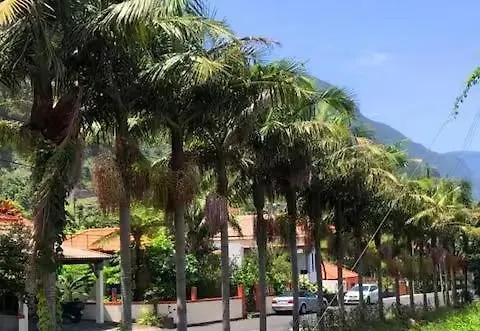 Loft - Casa Do Mar דירה *